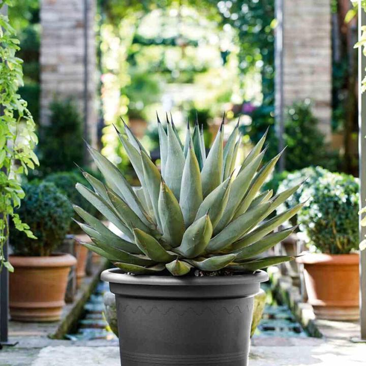 Actual product image Euro3plast Planter (30 cm)