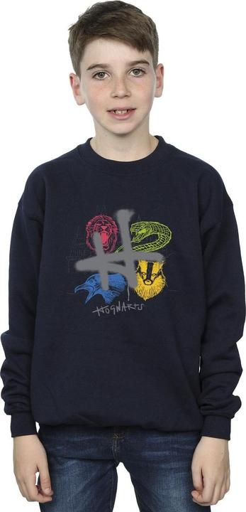 Actual product image Boys Emblems H Spray Sweatshirt (152, 158)