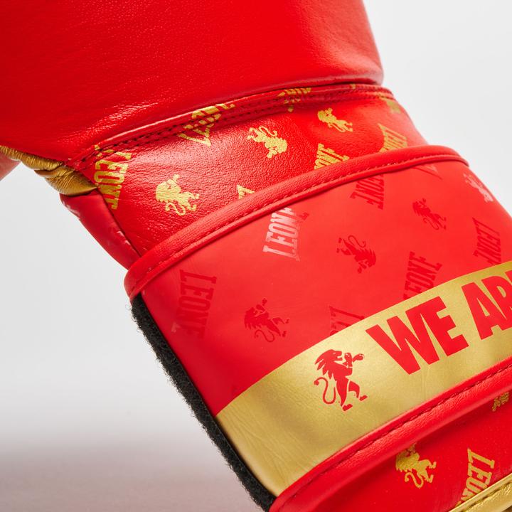 Immagine prodotto Leone BOXING GLOVES DNA - 14oz (14 OZ, Taglia unica)
