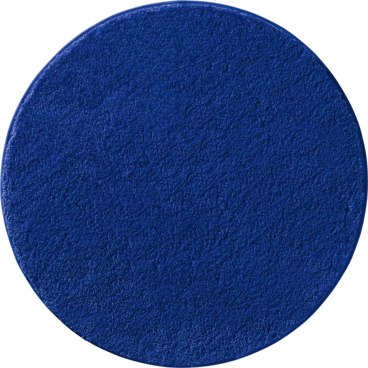 Bleu roi