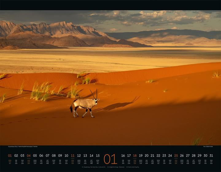 Immagine prodotto Wildes Afrika Kalender 2026 (54 x 42 cm, Copertina rigida, Inglese, Francese, Tedesco)