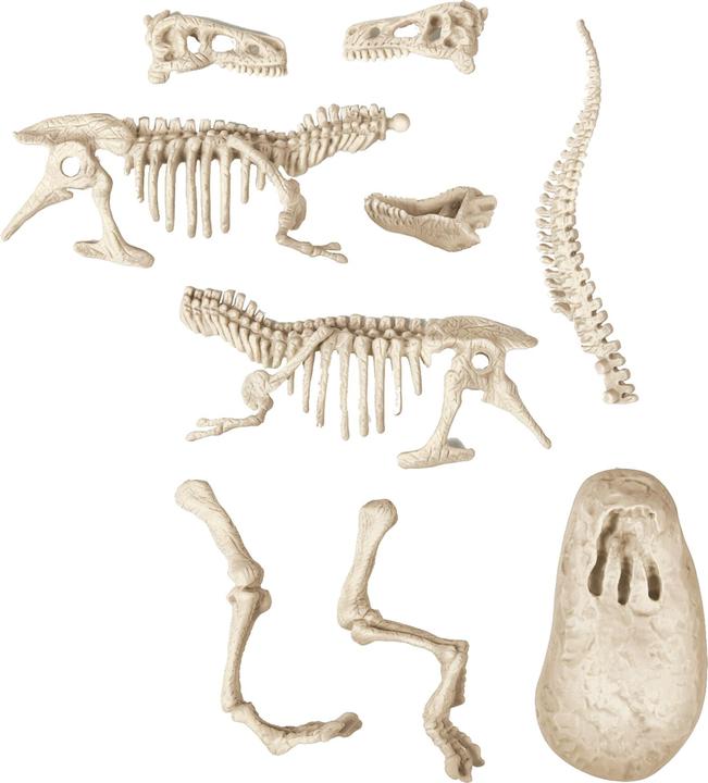 Immagine prodotto Clementoni Gioco archeologico Scienza e Gioco - T-Rex Fluo