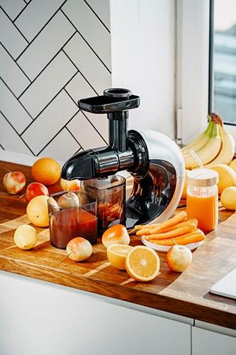 Actual product image Adler AD 4130 Slow Juicer, Stainless Steel/Black (EU plug)