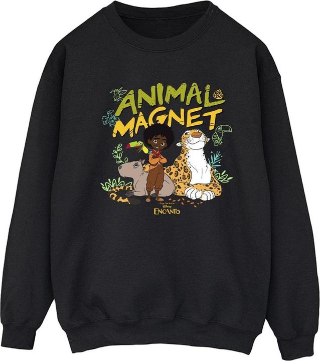 Produktbild Disney Encanto Animal Magnet Sweatshirt (XXL)