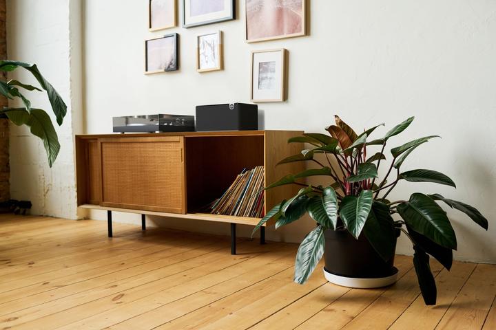 Actual product image Klipsch The Three Plus (Electrical connection)