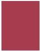 Actual product image Rimmel London Lasting Provocalips (210 Pinkcase Of Emergency)