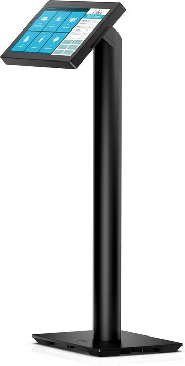 HP Engage 16,7cm 6,6Zoll Pole Display