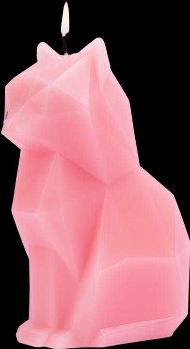 Image du produit 54Celsius PyroPet Kisa (1 pcs)