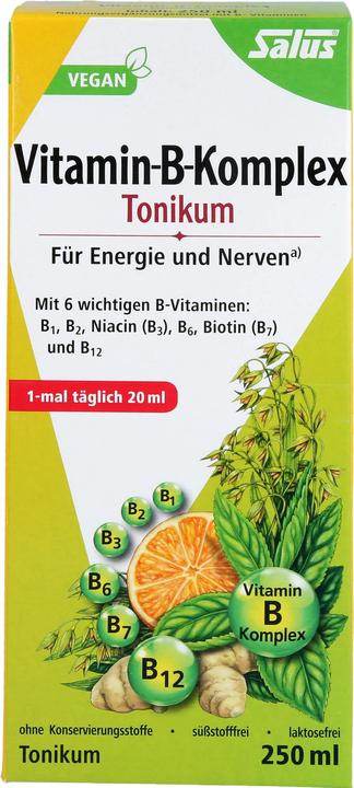 Image du produit Salus Vitamin-B-Komplex (1 pièce(s), Liquide, 601 g)