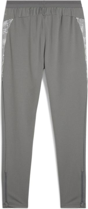 Puma teamCUP Training Pants