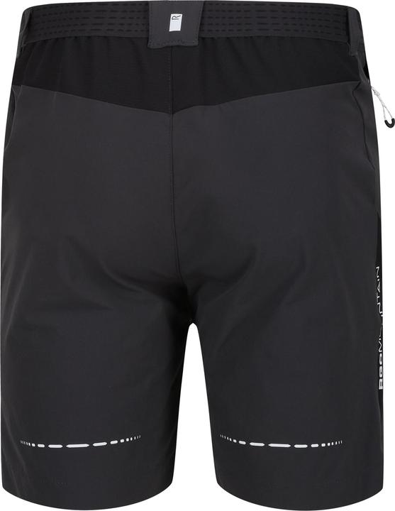 Actual product image Regatta Mens Mountain II Shorts (52 D)