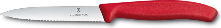 Actual product image Victorinox Carver (10 cm)