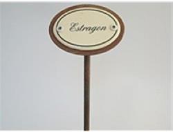 Plume d'épice Estragon (25 cm)