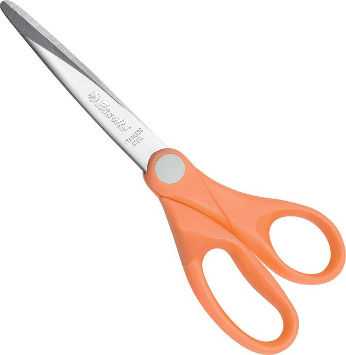 Image du produit Esselte COLOUR'ICE - Ciseaux (18 cm)
