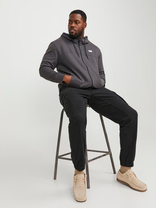 Actual product image Jack & Jones Paul Flake AKM 542 Plus Size Cargo Pants (44)