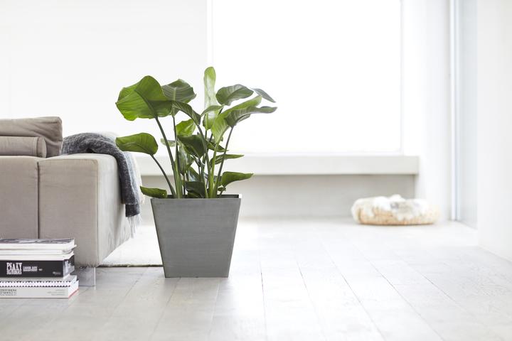 Actual product image Ecopots Rotterdam (40 cm)