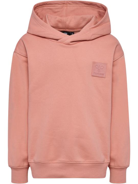 Actual product image hummel hmlCLEAN HOODIE (122)