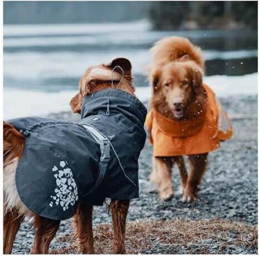Produktbild Hurtta Monsoon Coat bilberry (40, Hundemantel)