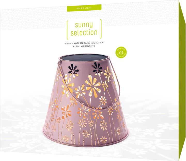 Image du produit STT Daisy