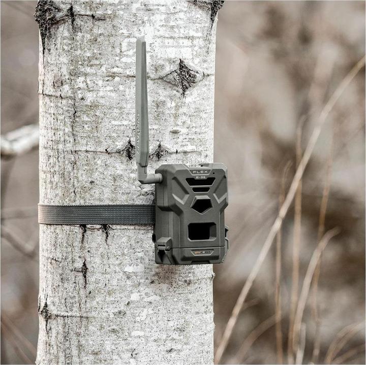 Image du produit Spypoint Flex E-36