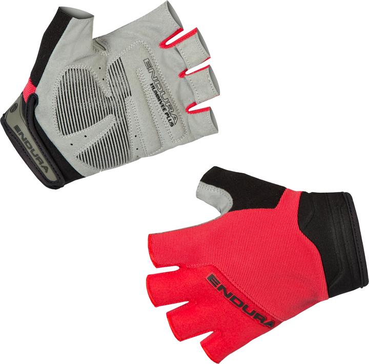 Endura Plus