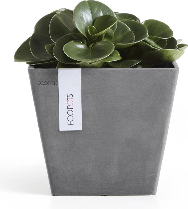 Actual product image Ecopots Rotterdam (20 cm)