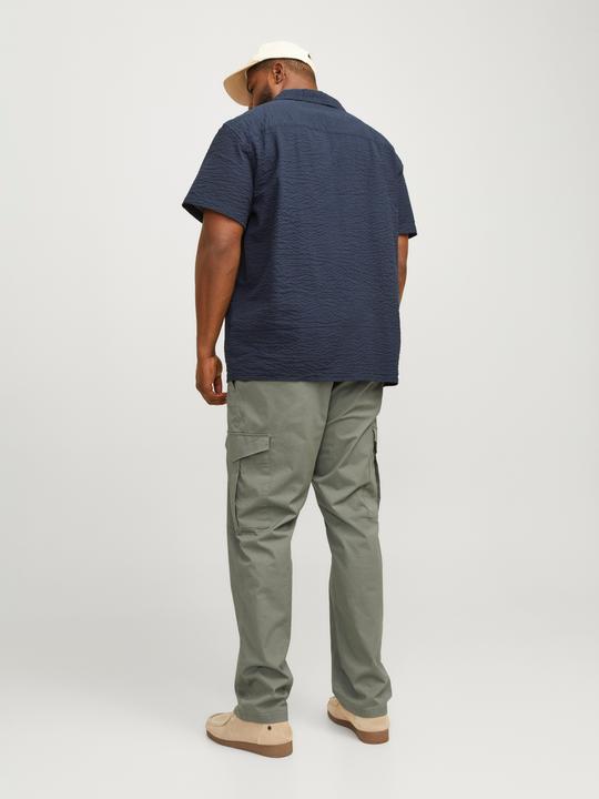 Image du produit Jack & Jones Jpstace Jjsummer Cargo Pls (W42/L34)