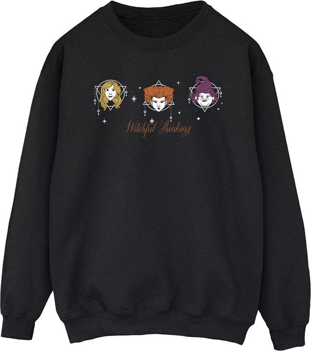Image du produit Disney - Sweat HOCUS POCUS WITCHFUL THINKING - Homme (L)