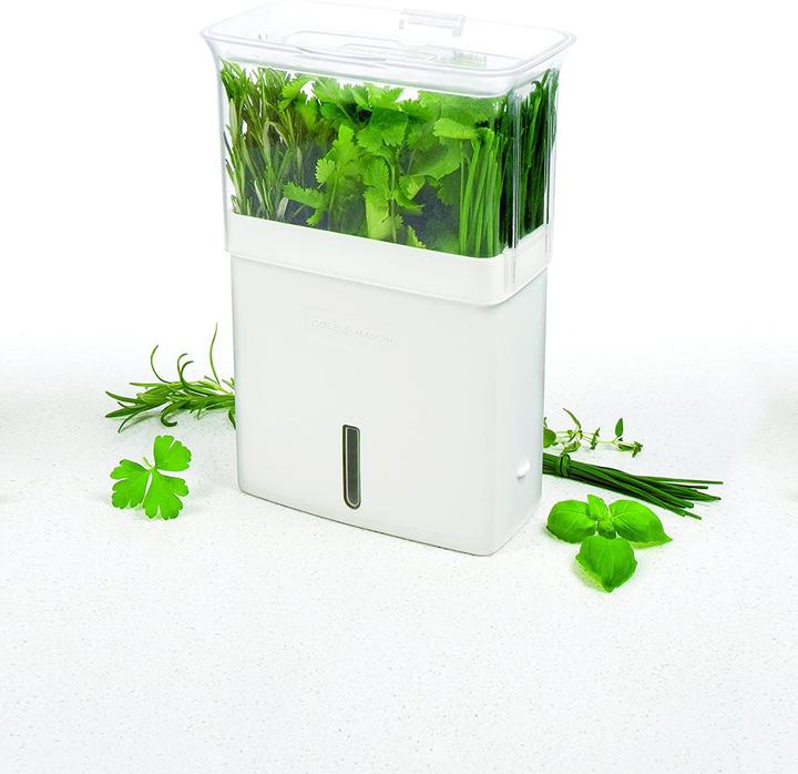 Immagine prodotto Cole & Mason Scatola per la conservazione di alimenti freschi (0.38 l)