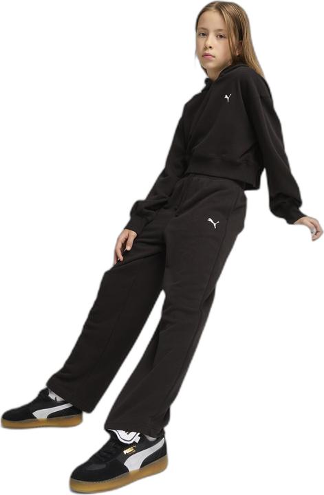 Produktbild Puma WARDROBE ESS Short Length Hoodie TR G (128)