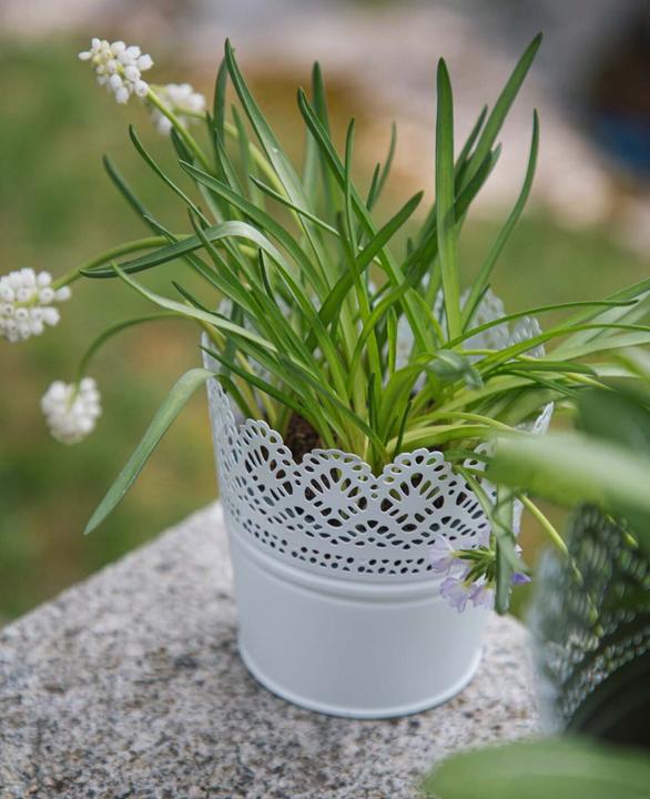 Produktbild Esmée Blumentopf, Übertopf mit Spitzen, Blech (11 cm)