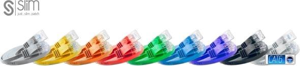 Actual product image Wirewin Network cable (UTP, CAT6, 0.10 m)