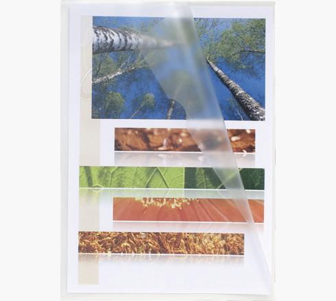 Actual product image Exacompta Visual cover (A4, 100 x)