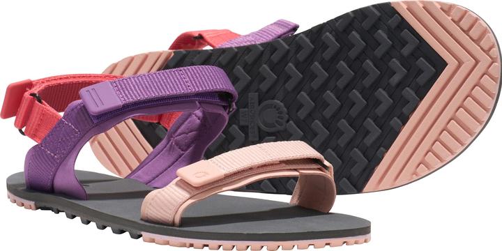 Actual product image Xero Shoes D-Trail (41.5)