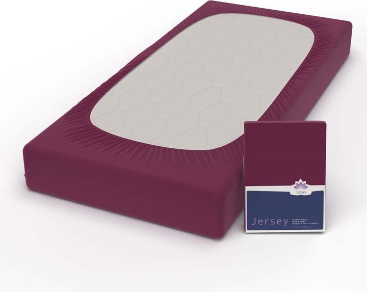 Produktbild Lotus Bettwaren Jersey Fix Comfort (100 x 200 cm, 90 x 190 cm, 90 x 200 cm)