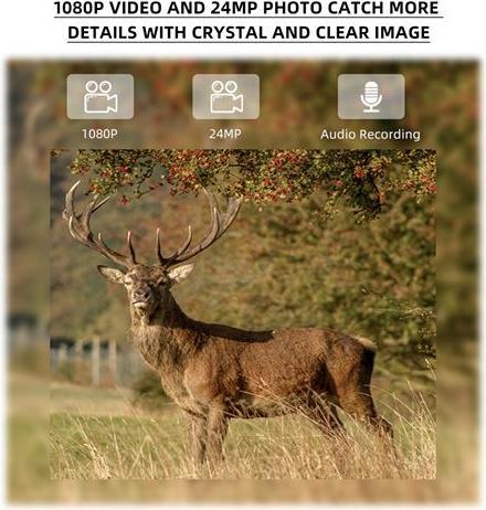 Image du produit Stealth Gear Hedgehog 1080p 4G Wildcamera