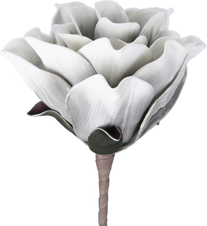 Produktbild EGLO LIVING Molave (65 cm)