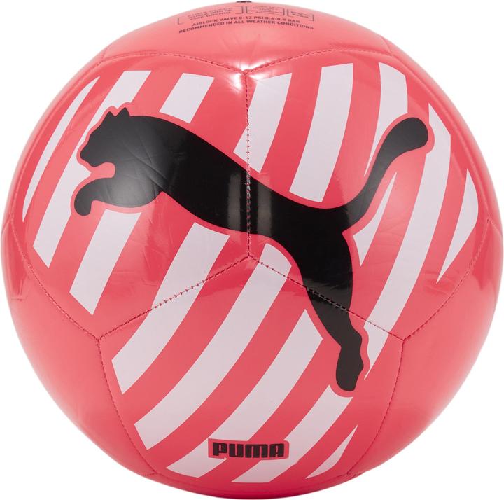 Image du produit Puma Big Cat ball
