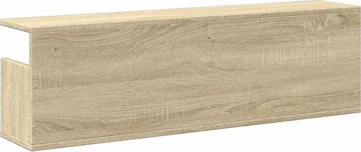 Image du produit VidaXL Armoire murale (100 x 20 x 30 cm)