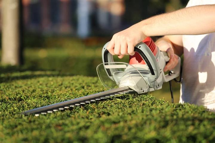 Actual product image Ikra Electric hedge trimmer 650 watts Mogatec IHS 650 (Electric hedge trimmer)