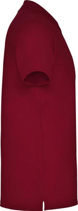 Actual product image Alpinia Mens Star Short-Sleeved Polo Shirt (L)