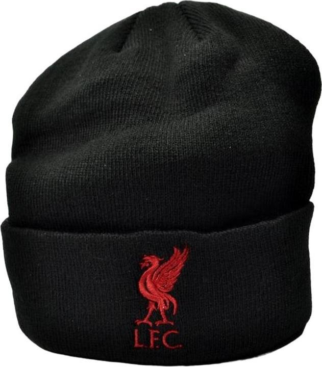 Score Draw Erwachsene Bronx Liver Bird gestrickt aufgedrehte Manschette Beanie (One Size)