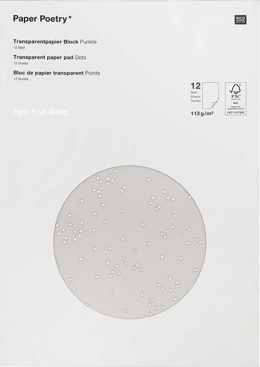 Immagine prodotto Rico Design Carta trasparente "Dots (113 g/m², 1 x)
