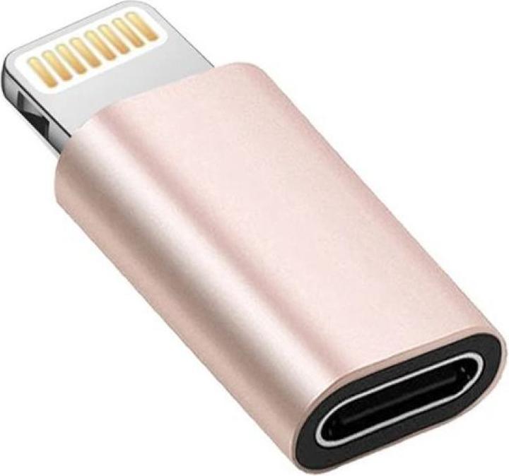 Immagine prodotto PowerGuard Convertitore da Lightning a mini adattatore USB-C (Lightning, USB tipo C)