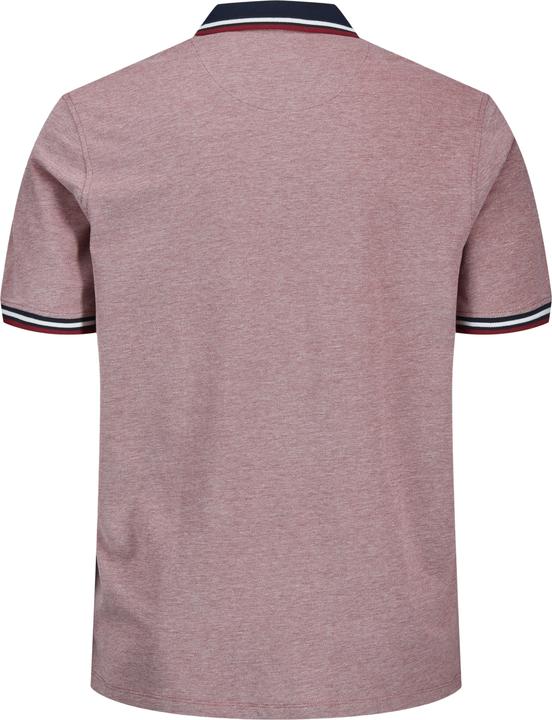 Actual product image Jack & Jones Classic Plus Size Polo Shirt (XXL)