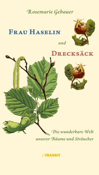 Produktbild Frau Haselin und Drecksäck (Deutsch, Rosemarie Gebauer, 2016)