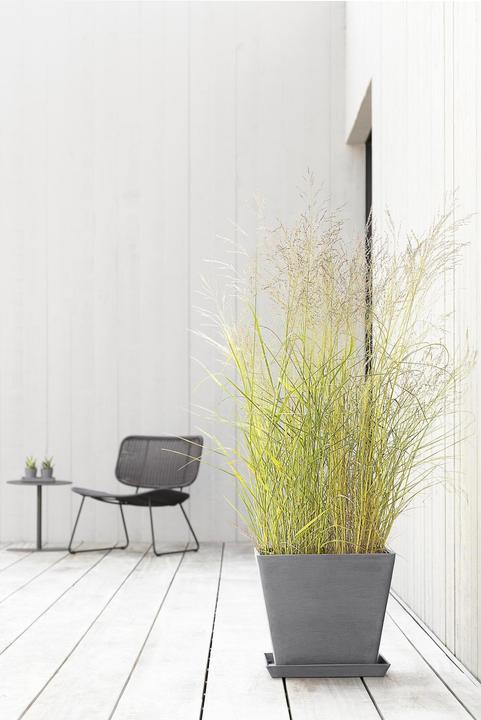 Actual product image Ecopots Rotterdam (40 cm)