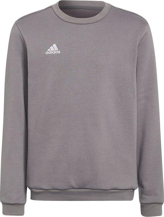 Actual product image adidas Entrada 22 sweatshirt kids (164)