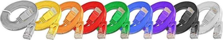 Image du produit Wirewin Câble de réseau (UTP, CAT6, 2 m)