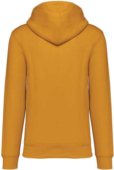 Actual product image Native Spirit Unisex Adult Heavyweight Hoodie (XXS)